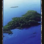 Island - Full Art - Unhinged (UNH)